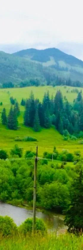 Садиба «Пасіка» відпочинок в Карпатах, Hotel in Zelena