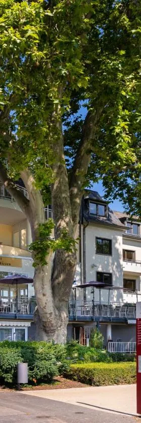 Hotel Kleiner Riesen, Hotel in Koblenz