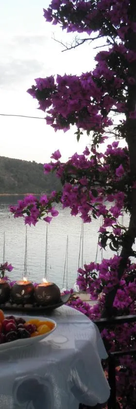 Babis, Hotel in Skiathos-Stadt