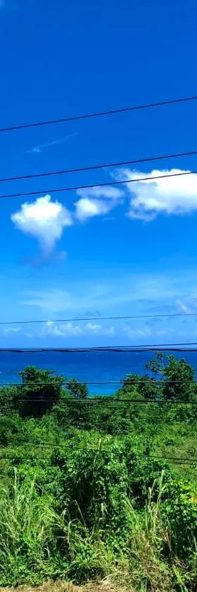 TOGA GUEST HOUSE, Hotel in Port Antonio