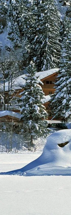 Waldhotel Doldenhorn, Hotel in Kandersteg