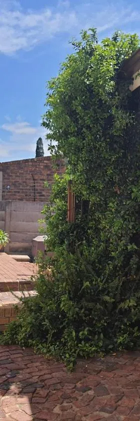 Catch your Breath, Hotel in Edenvale