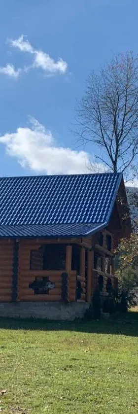Cottage Лісовий, Hotel in Bukovets