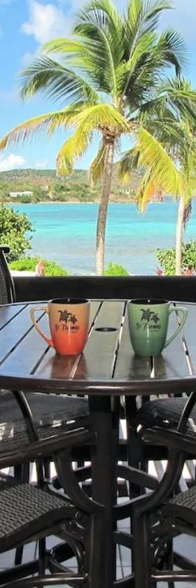 Your Perfect Beachfront Condo in Paradise - Sapphire Beach, Hotel in St Thomas