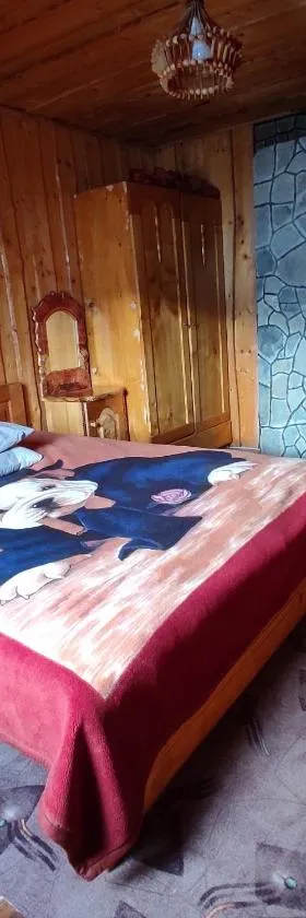 Хата у Карпатах, Hotel in Pilipets