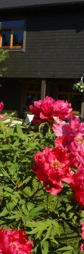 Pilava, Hotel in Roja