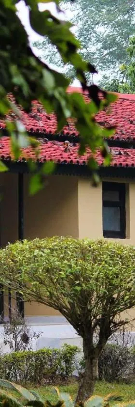 Bardia Forest Resort, Hotel in Bardia