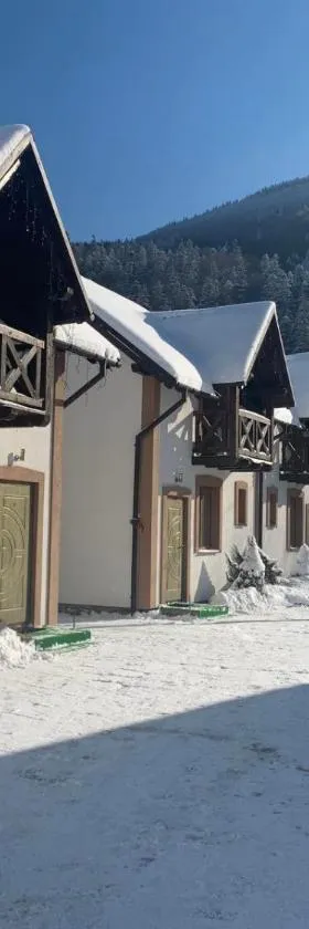 Карпатський Готель Олександрія, Hotel in Mykulytschyn
