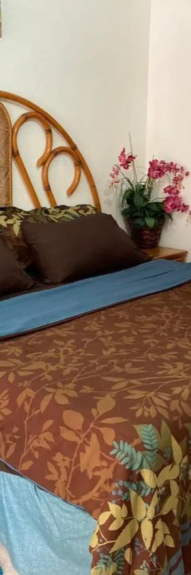 Hostal Casa Blanca, Hotel in Comala
