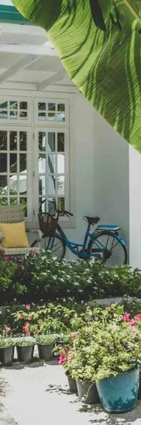 Fiyala Homestay, Hotel in Feydhoo