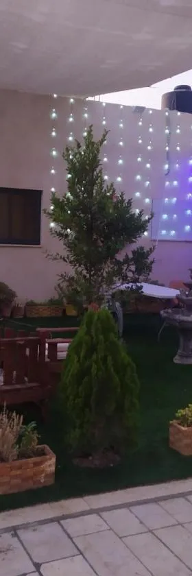 Steele honey, Hotel in Jericho