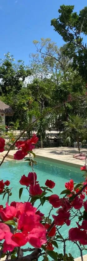 Maya Eco Village, Hotel in Akumal