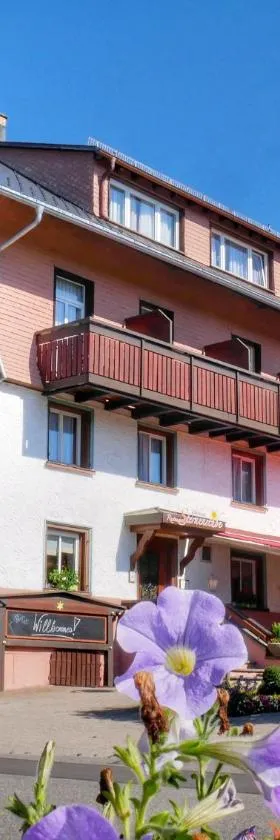 Wochner's Hotel-Sternen Am Schluchsee Hochschwarzwald, Hotel in Schluchsee