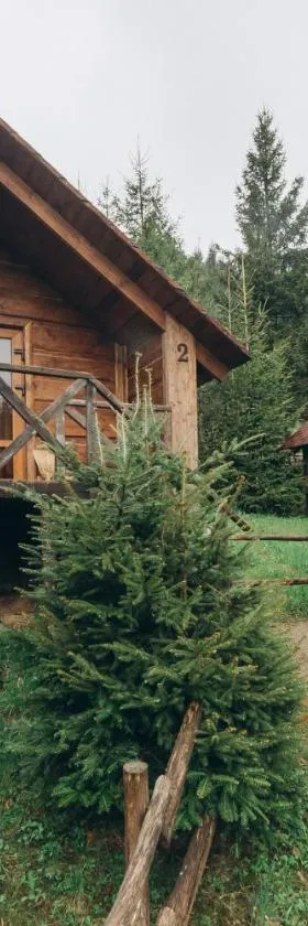 Аляска, Hotel in Oryavchyk