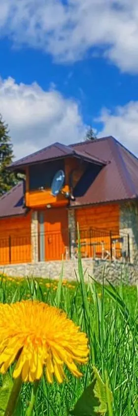 Apartmani Nišićka Oaza, Hotel in Sarajevo