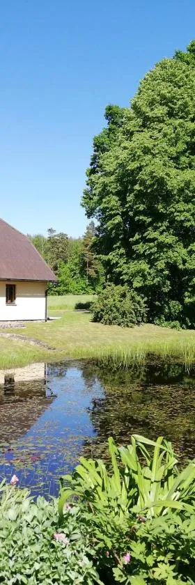 Liepziedos, Hotel in Ēdole