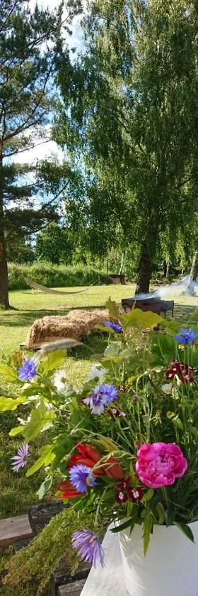 Brīvdienu māja- Silavas, Hotel in Rucava