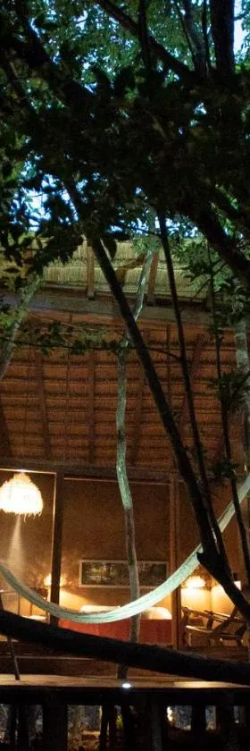 OJO DE ÁRBOL, boutique cabin in the real jungle, Hotel in Tulum