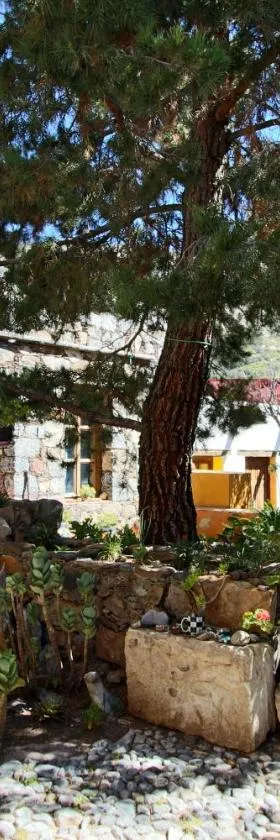 Casa Curtos, Hotel in Real de Catorce