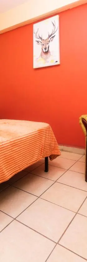 Hotel Zaragoza, San Juan de los Lagos, Hotel in San Juan de los Lagos
