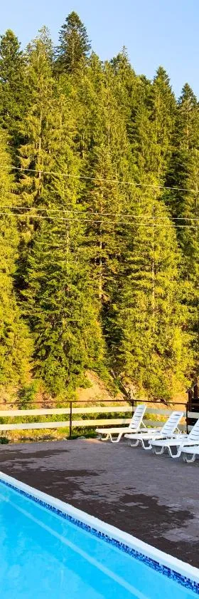 Forest House, Hotel in Tatariw