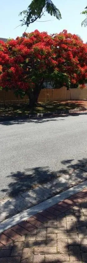 Baringa Bed & Breakfast, Hotel in Redcliffe