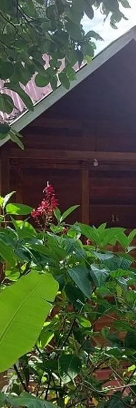 Cabañas Yax-ha, Hotel in Arroyo Agua Azul