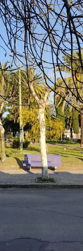 Suculento Apart, Hotel in Fray Bentos