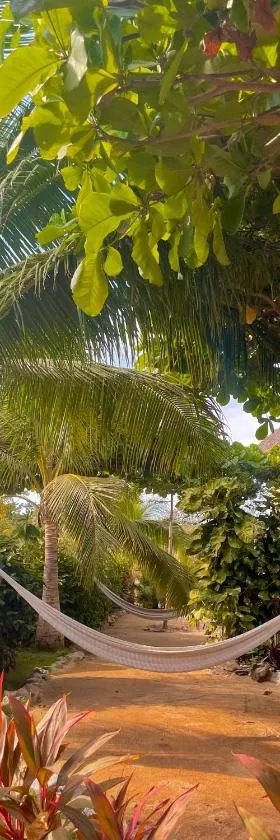 Troncones Point Hostel, Hotel in Troncones
