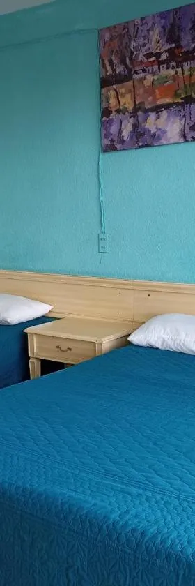 Hotel Viena, Hotel in Irapuato