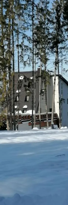 Planinska Kraljica, Hotel in Gornje Pale