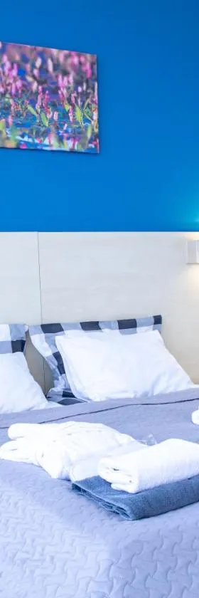 Rija Bauska Hotel, Hotel in Bauska