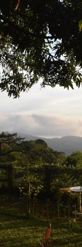 Finca San Antonio, Hotel in Pluma Hidalgo