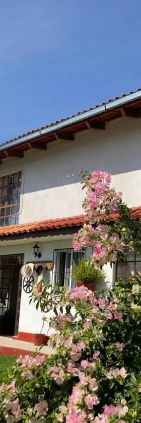 Villa Sofia, Hotel in Tlatlauquitepec