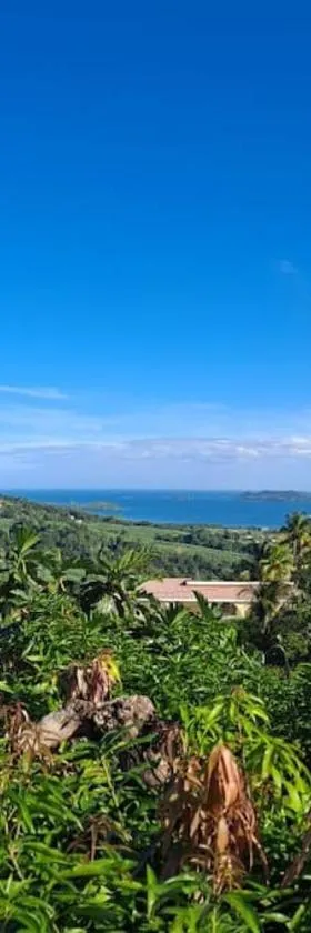 Zowanj 1 - Logement avec vue panoramique, Hotel in Le Robert