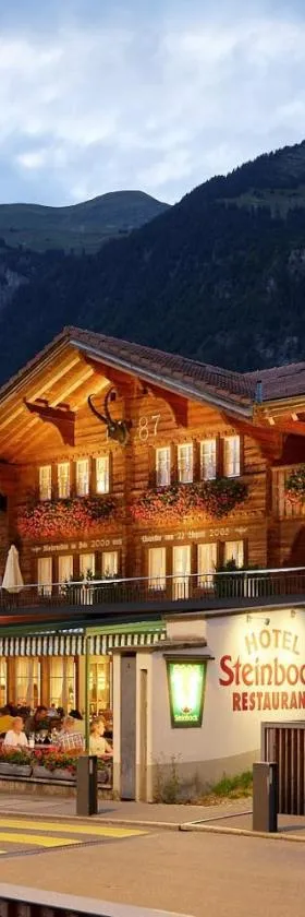 Hotel Steinbock, Hotel in Brienz