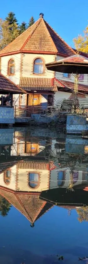 Ворота Карпат, Hotel in Delyatyn