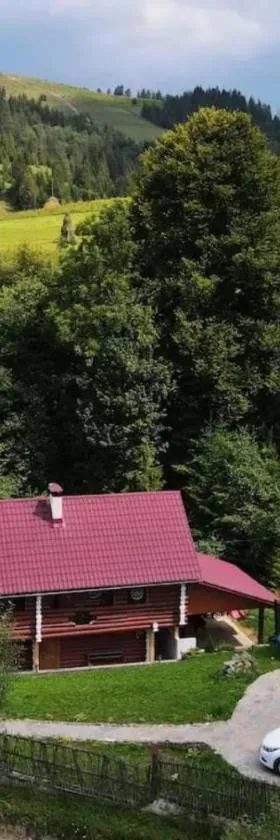 Котедж в Карпатах, Hotel in Huklyvyy