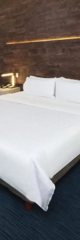 Holiday Inn Express San Luis Potosí by IHG, Hotel in San Luis Potosí