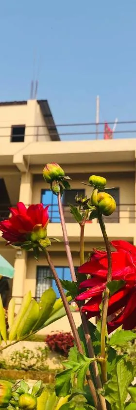 Hotel Happy Land, Hotel in Chitwan