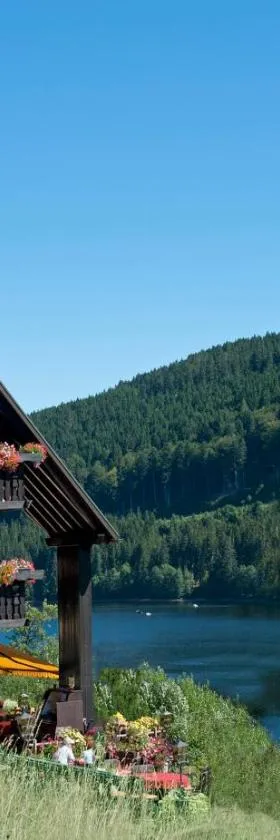 Alemannenhof - Boutique Hotel am Titisee, Hotel in Titisee-Neustadt