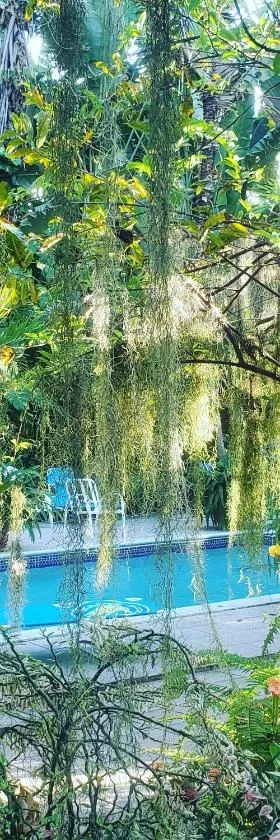 Orchid Cottage, Hotel in Kingston