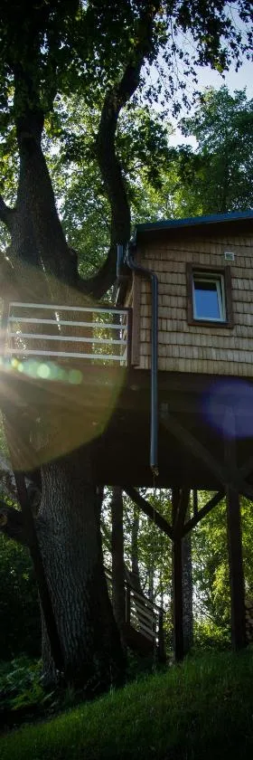 Strazdu Ligzda Off grid treehouse, Hotel in Meņģele