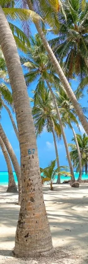 Captal Island Villa, Hotel in Insel Mathiveri