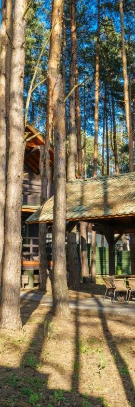 Dacha 9, Hotel in Voropayev