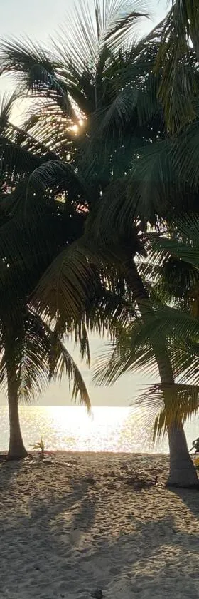 Anda Di Hows Hostel, Hotel in Placencia Village