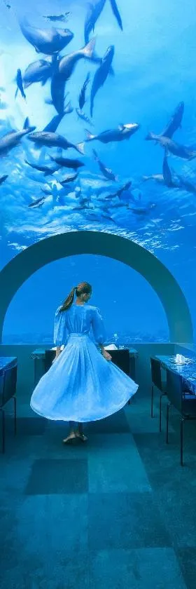 You & Me Maldives - Adults Only - Premium All-Inclusive, Hotel in Raa Atoll