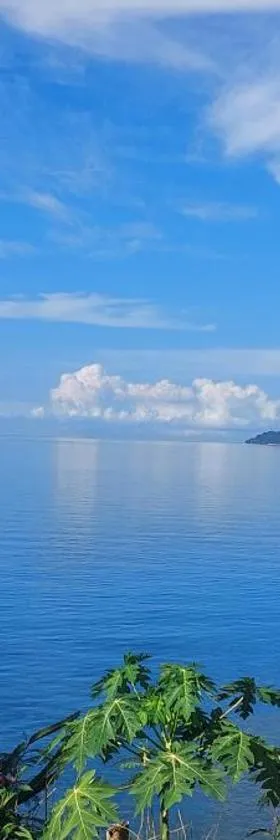 Bohol-Lahoy Dive Resort, Hotel in Guindulman