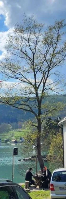 Dušanov Zaliv - Perućac, Hotel in Skelani
