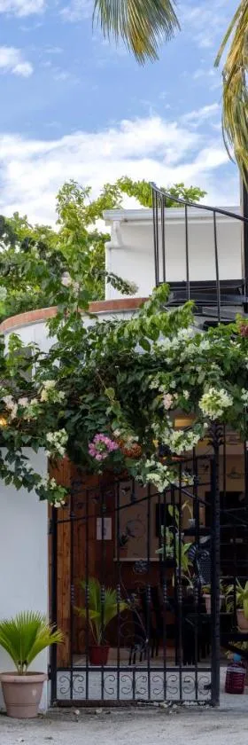 LVIS Village, Hotel in Dharavandhoo